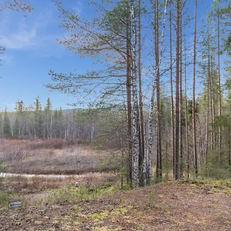 Pohjantaehti By Interhome Holiday home Yllasjarvi