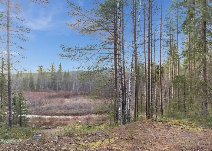 Pohjantaehti By Interhome 펜션 Ylläsjärvi